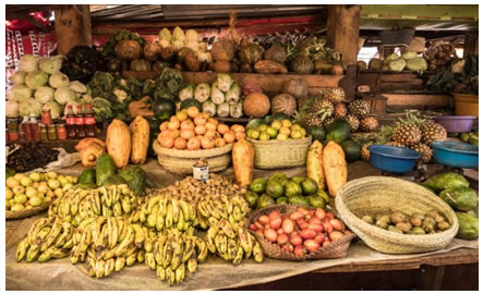 fruits de Nosy Be